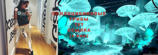 гашик Снежногорск